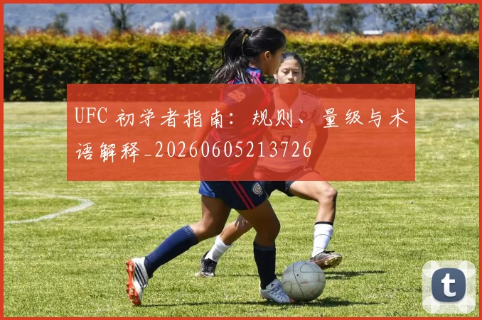 UFC 初学者指南：规则、量级与术语解释_20260605213726