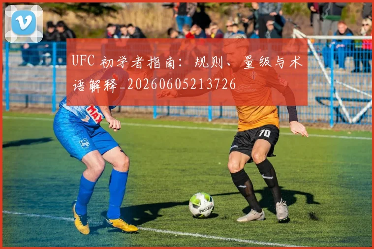 UFC 初学者指南：规则、量级与术语解释_20260605213726