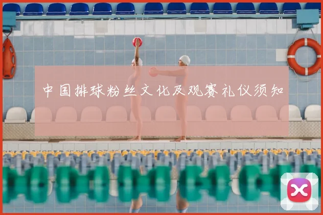 中国排球粉丝文化及观赛礼仪须知